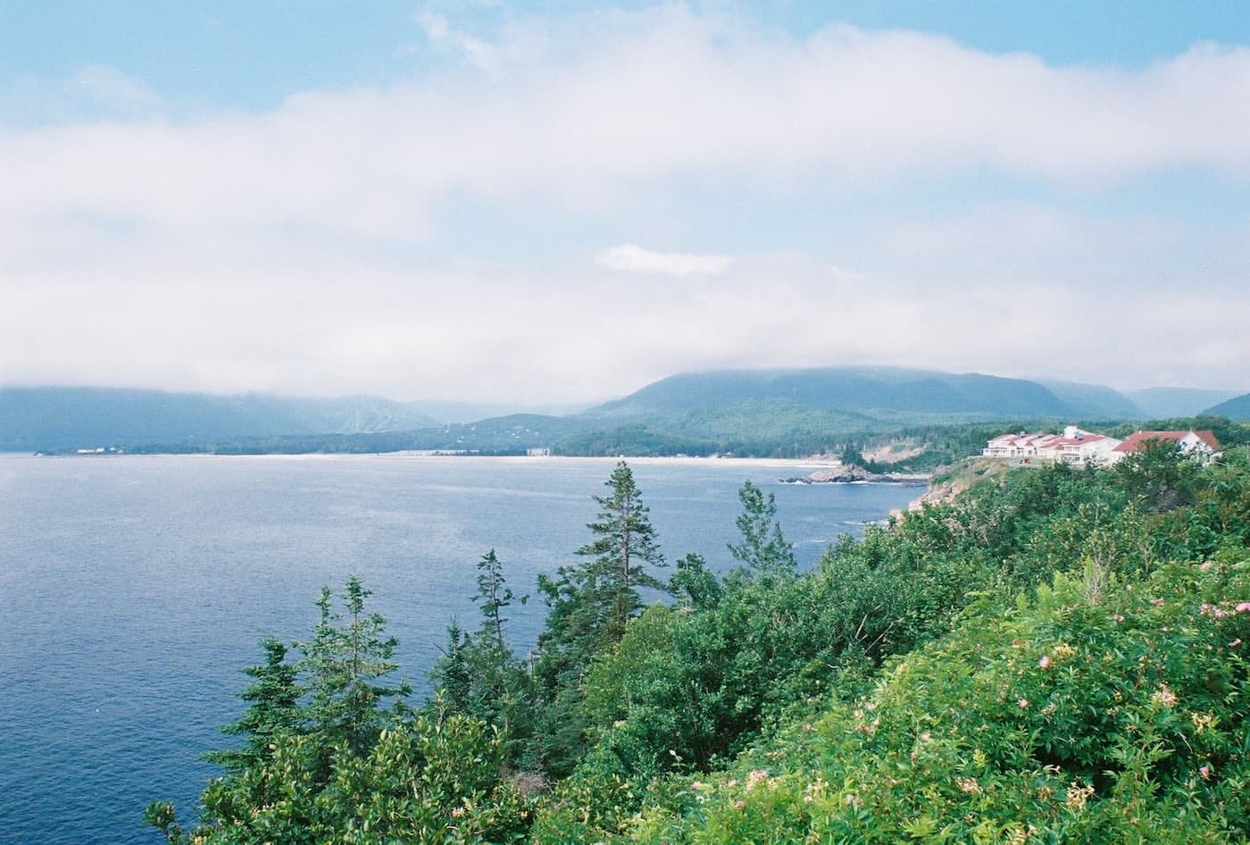 Aerial view of a misty forest at sunset